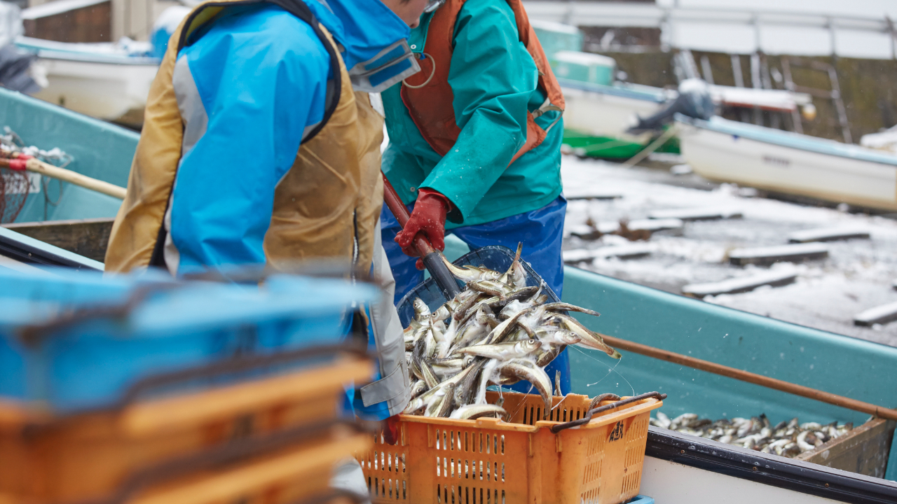 年収1,000万円超えも夢ではない…「脱サラ漁師」の年収事情・儲かる漁法は？