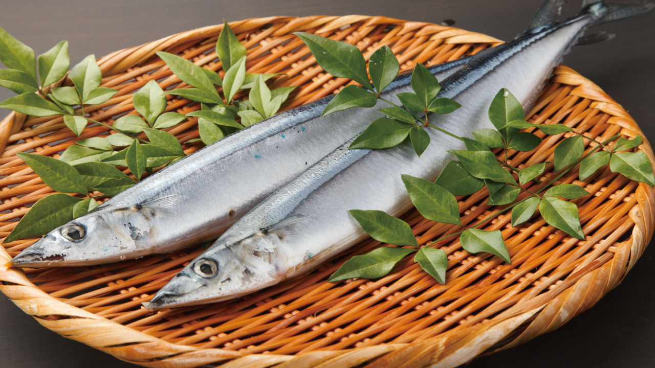 魚によく含まれる良い油「DHA」「EPA」の効能