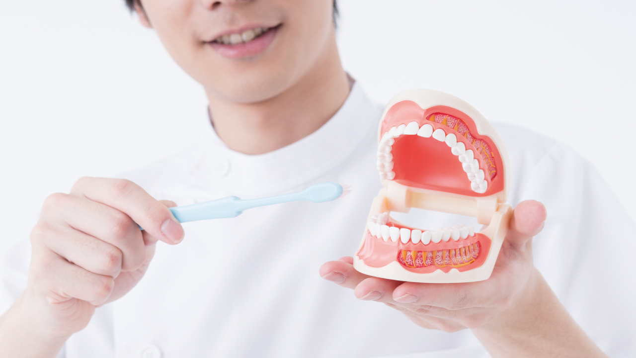 歯科医療によって「健康寿命の延伸」ができる理由