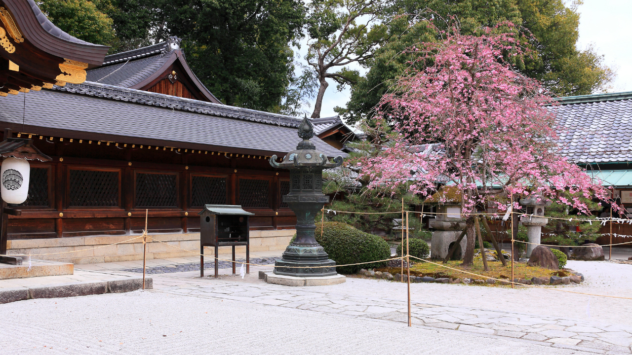 もし京都の「西陣｣｢紫野」が東京の街だったら？ → 谷中、根津