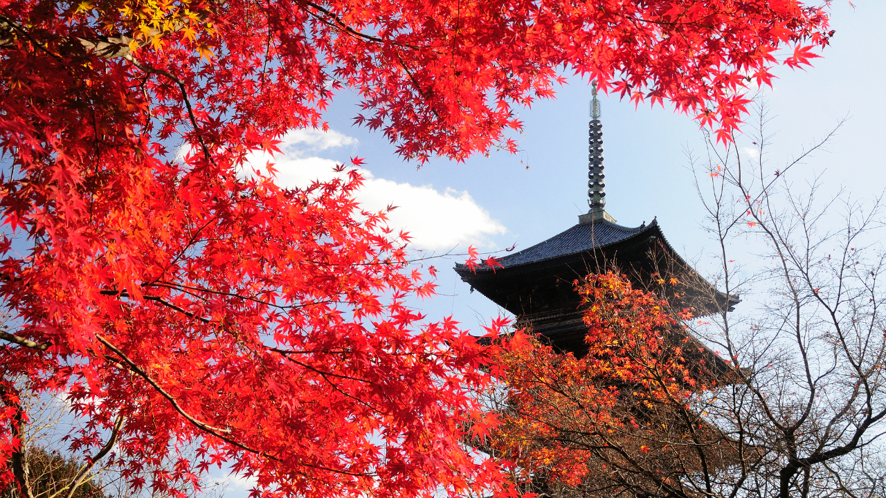 なぜ今、「京都の町家」投資なのか？