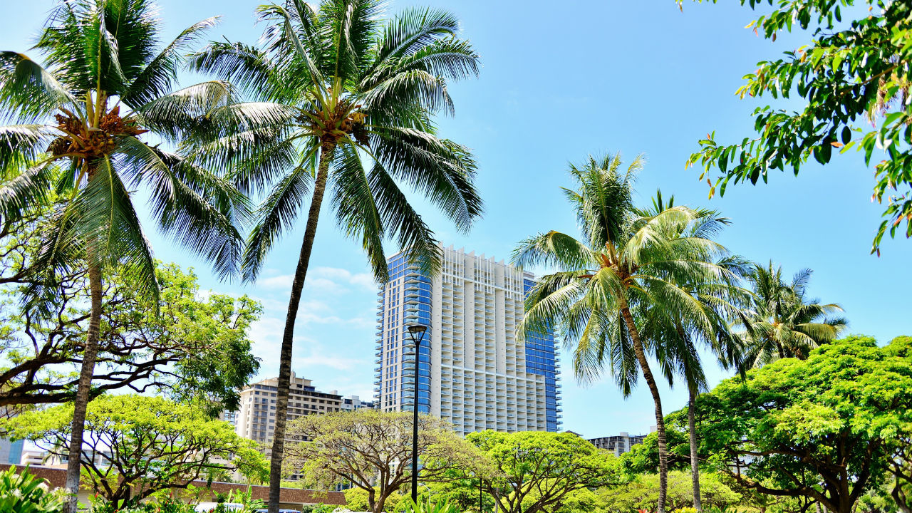 ハワイのホテルレジデンス「トランプ」の最新売買動向