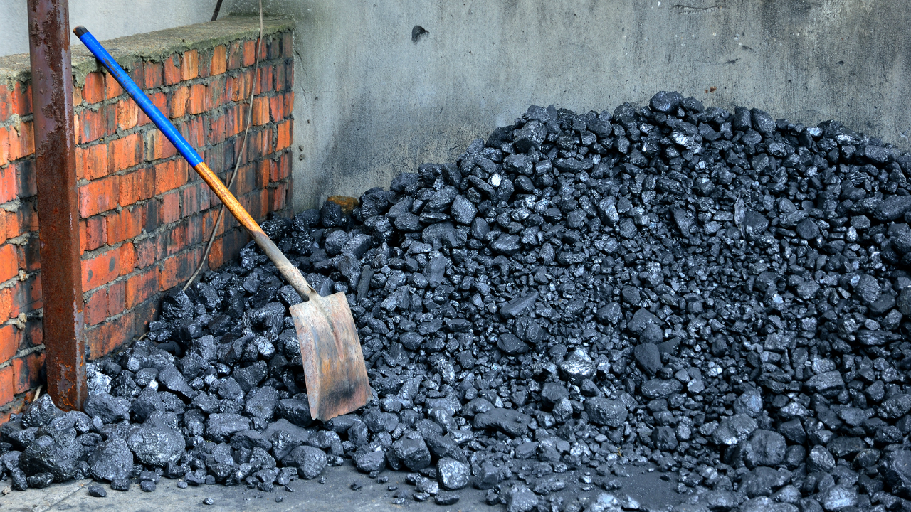 石炭の供給を巡って激化したスリランカ政権内部の争い