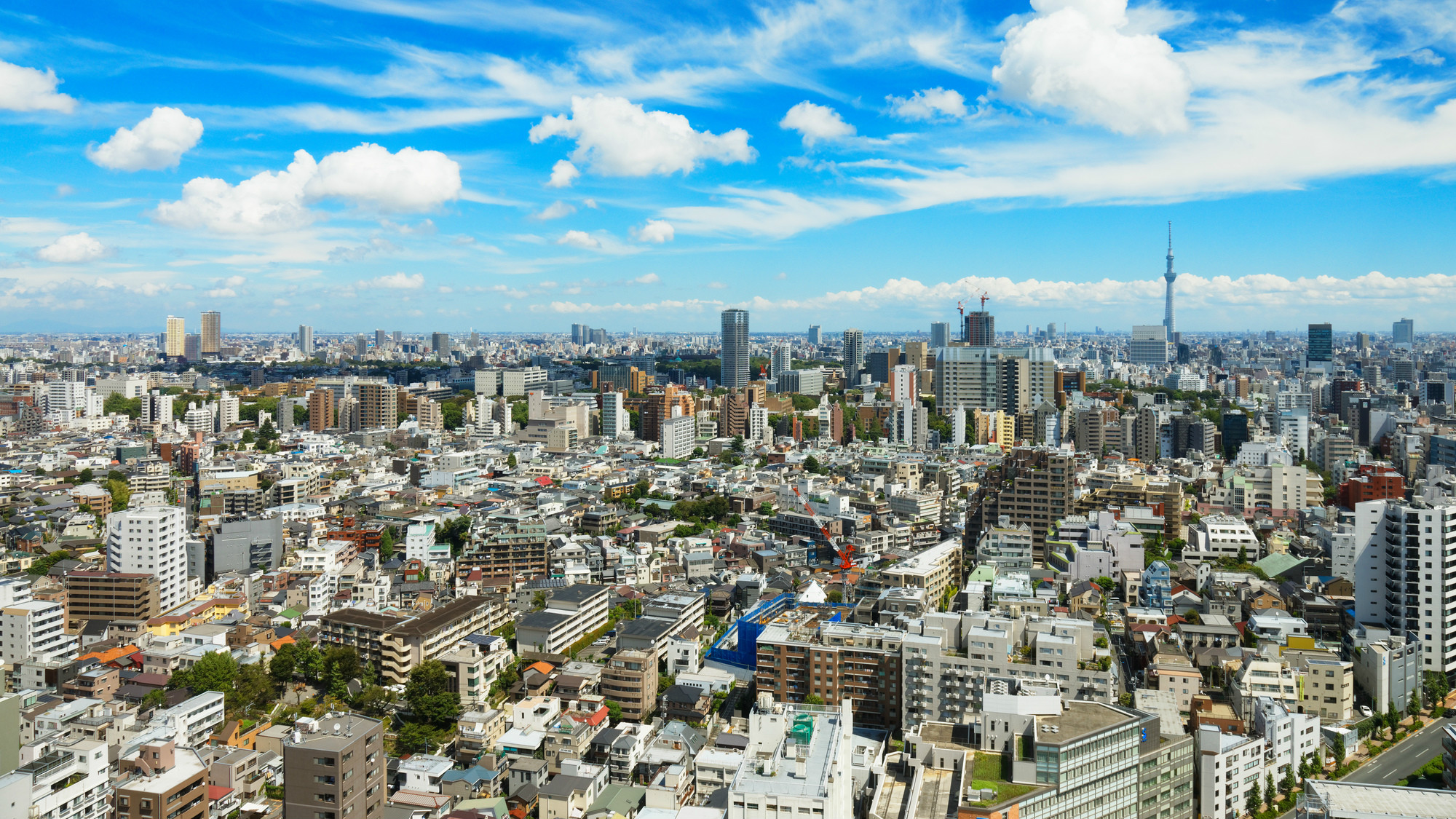 関東大震災が警告…軟弱の地盤にこのまま都市を作り続けるのか