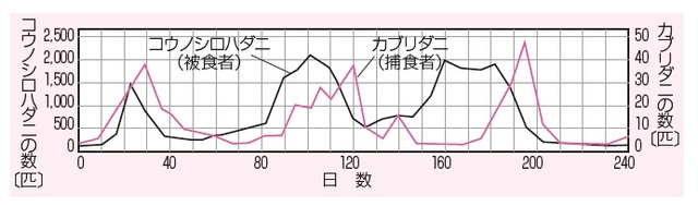 出所：伊藤和修著『大人の教養　面白いほどわかる生物』（KADOKAWA）