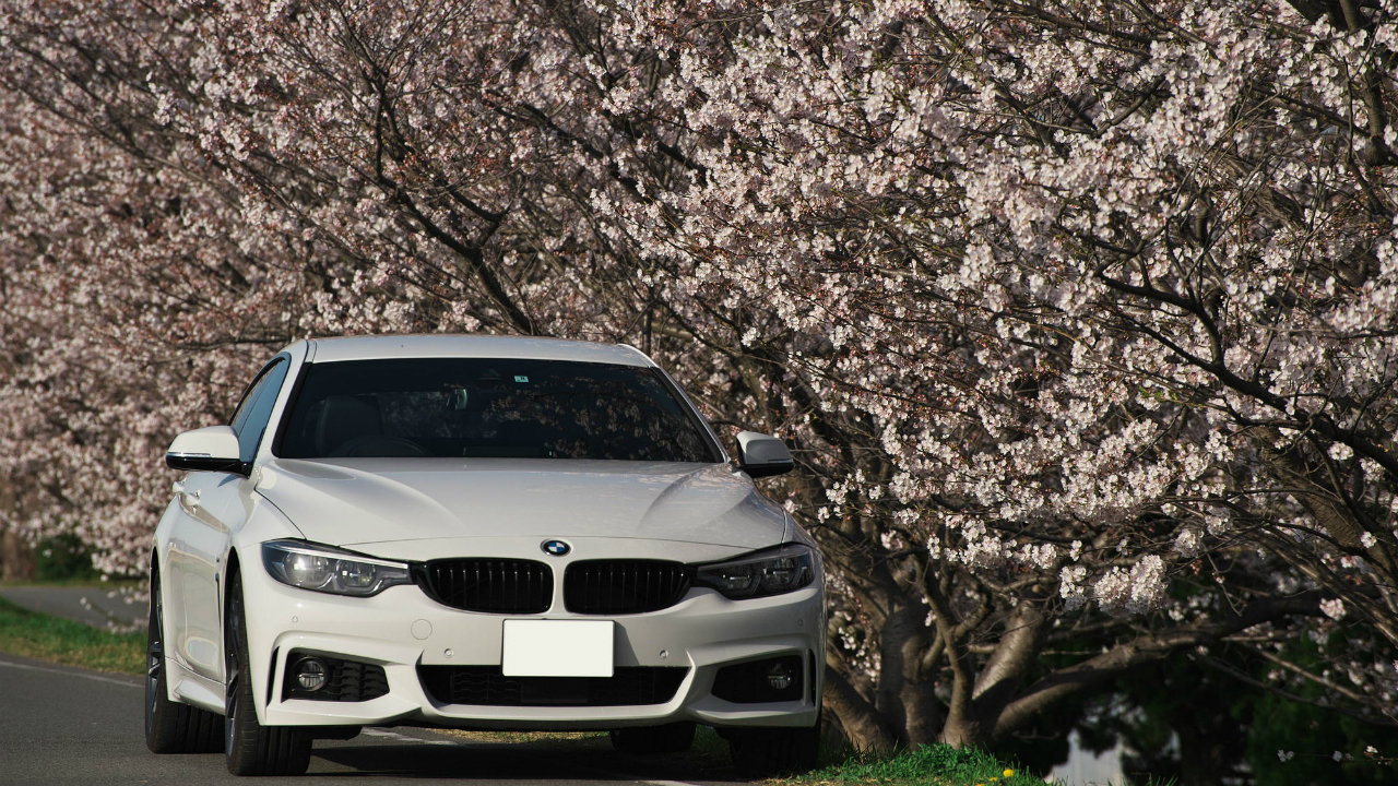 BMW日本法人に立ち入り検査…「新古車」の販売事情とは