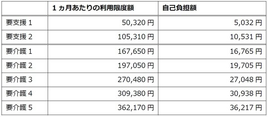 出所：厚生労働省「介護サービス情報公開システム」を参考に筆者が作成