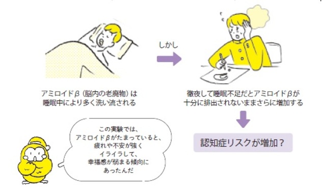 柳沢正史『今さら聞けない　睡眠の超基本』より抜粋