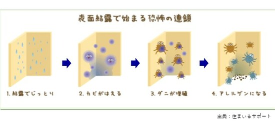 【図表5】