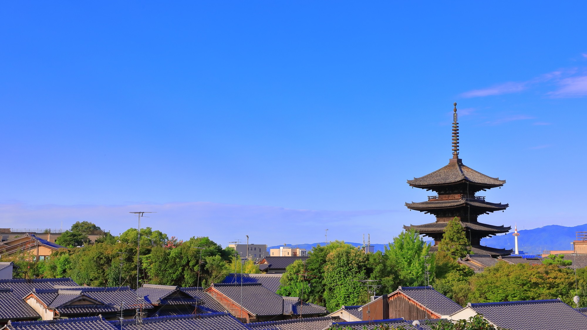 交通渋滞や騒音も…世界的な観光都市となった「京都」の価値