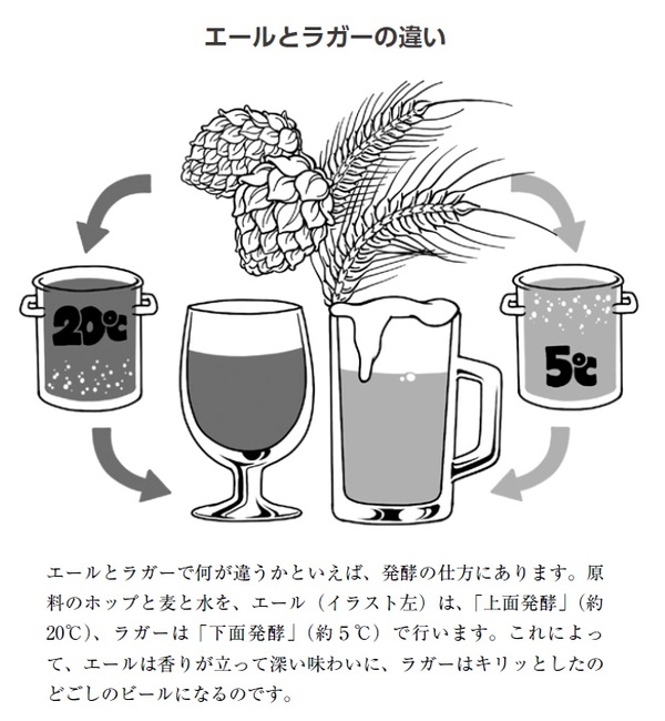 出所：藤沼正俊著『パーフェクトビアの社長が教える ビールを最高においしく飲むためのルール』（春陽堂書店）