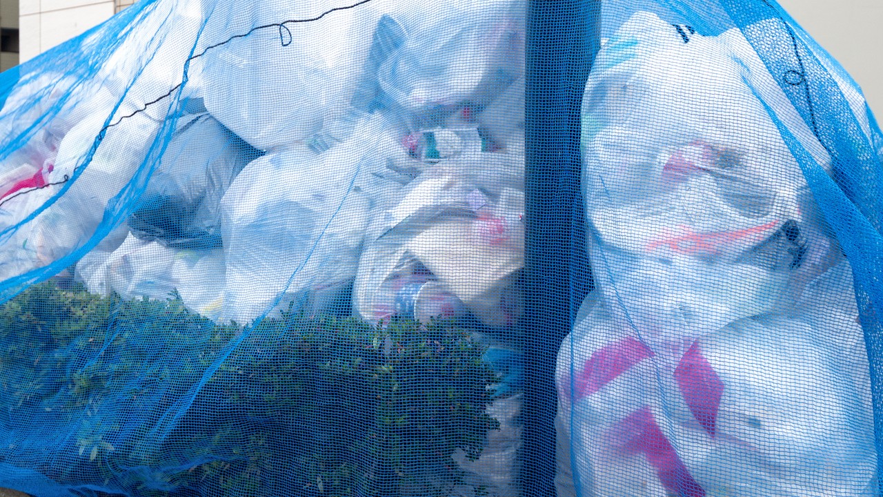 異臭を放つ「ゴミの山」…掃除中の家主に放たれた衝撃の一言