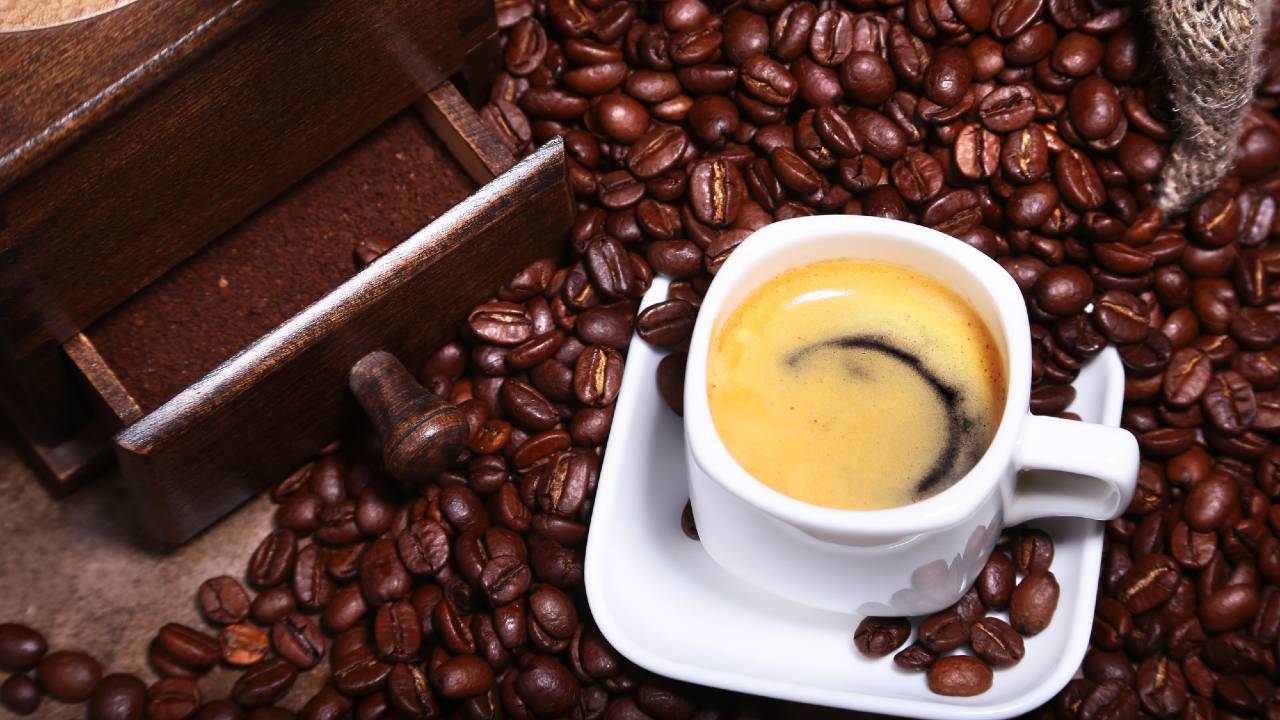 日本のコーヒー業界に根付く「高級豆」にまつわる明らかな誤解