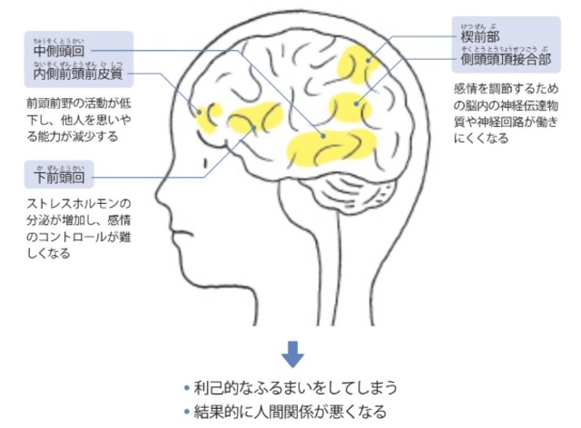 柳沢正史『今さら聞けない　睡眠の超基本』より抜粋