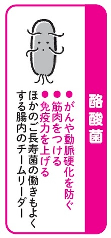 イラスト：佐々木恵子  出所：江田証著『60歳で腸は変わる　長生きのための新しい腸活』（新星出版社）