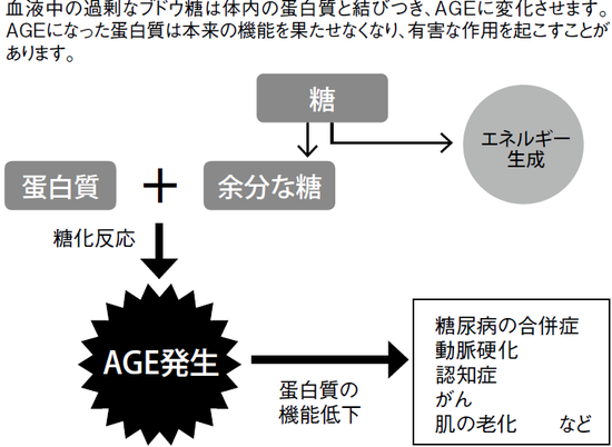 出所：『「日本人の体質」研究でわかった長寿の習慣』（青春出版社）より抜粋
