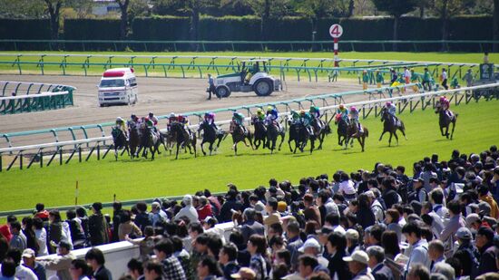 中山競馬場のレース（※イメージ／PIXTA）