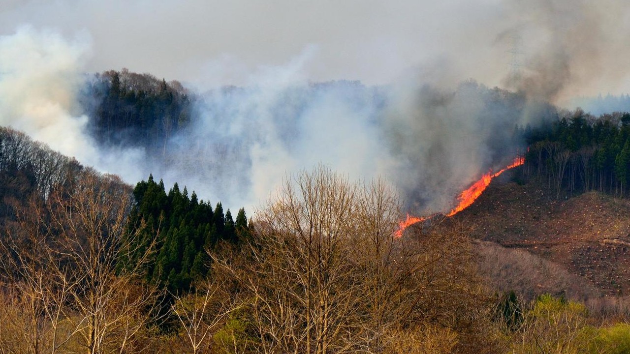 森林火災リスクの高まり－火災のモデル設計をどう進めるか