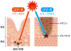 ユースキン製薬提供