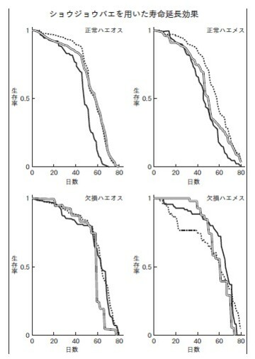 ショウジョウバエを用いた寿命延長効果 出典：『最新科学で発見された　正しい寿命の延ばし方』（総合法令出版）より抜粋