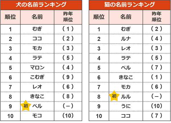 出典：「アイペット損害保険株式会社」調査リリース 