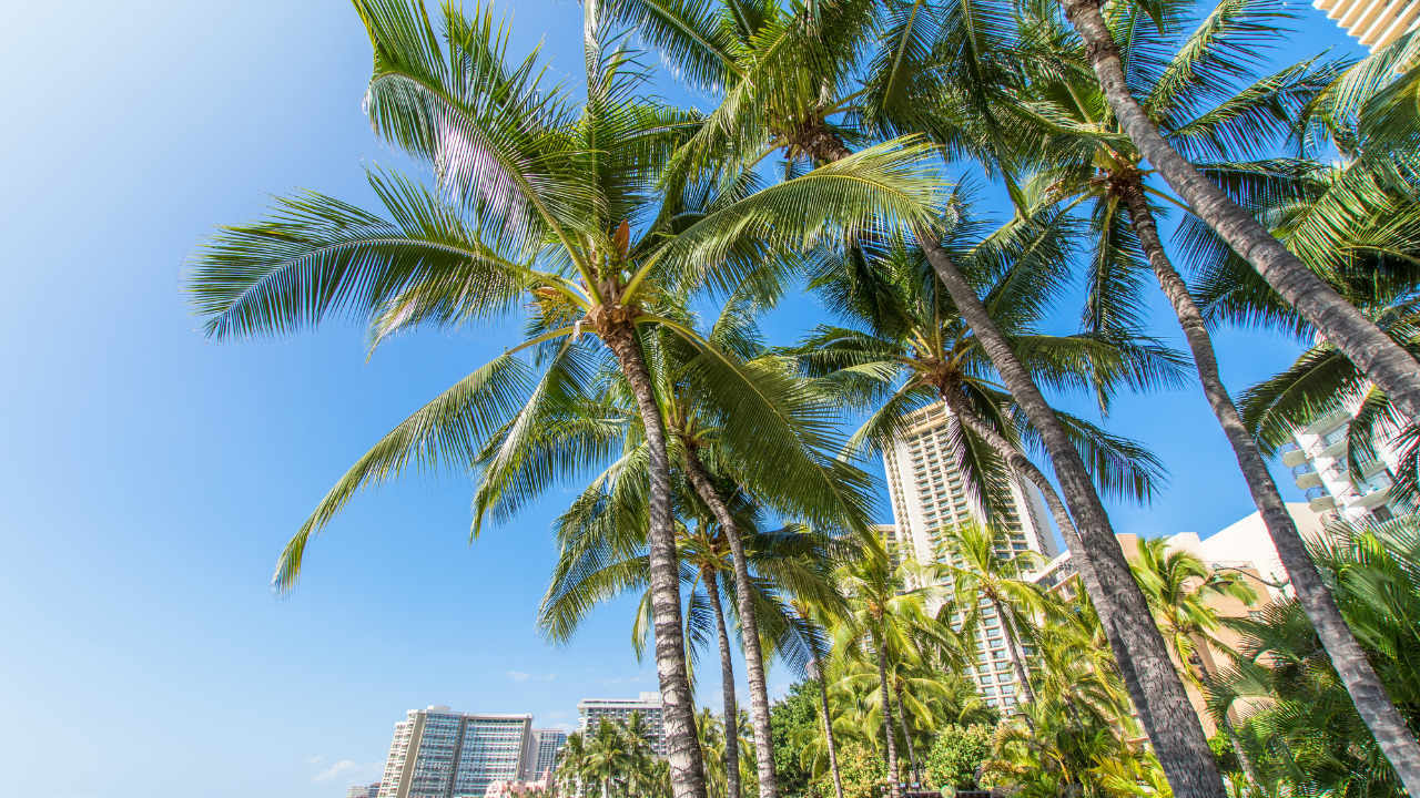 ハワイ不動産にかかる「固定資産税」の詳細