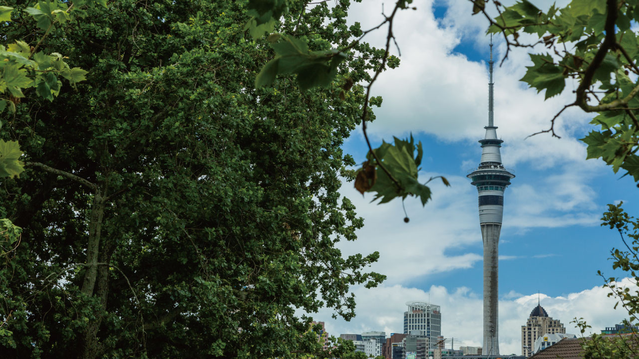 NZの新興住宅地「ポケノ」の開発状況と投資価値を探る