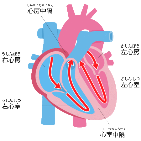 ［図表2］