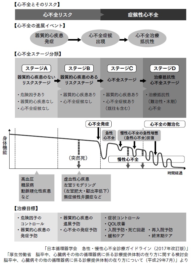 セール 脳卒中心臓病その他の循環器病に係る診療提供体制の在り方に関する検討会