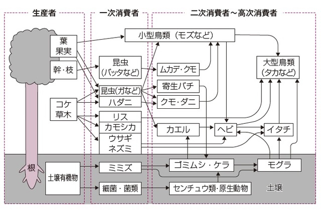 出所：伊藤和修著『大人の教養　面白いほどわかる生物』（KADOKAWA）