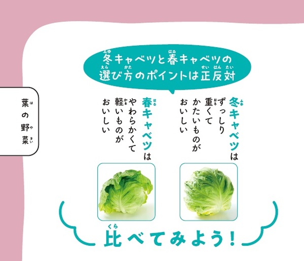 ©わたなべみきこ  出所：青髪のテツ著『スーパーのエキスパート店員が教える　おいしい野菜まるみえ図鑑』（KADOKAWA）