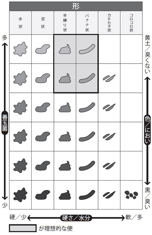 体の健康状態が見えてくる 便のチェック の習慣化 富裕層向け資産防衛メディア 幻冬舎ゴールドオンライン