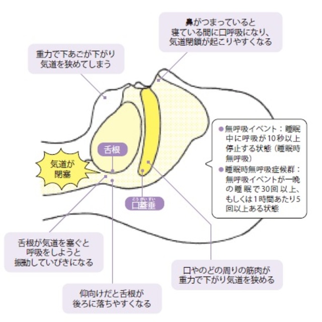 柳沢正史『今さら聞けない　睡眠の超基本』より抜粋