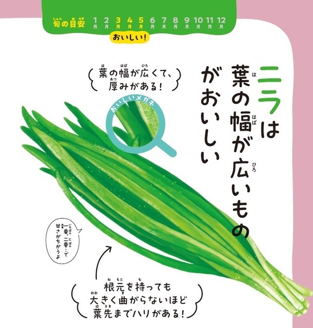  ©わたなべみきこ  出所：青髪のテツ著『スーパーのエキスパート店員が教える　おいしい野菜まるみえ図鑑』（KADOKAWA）