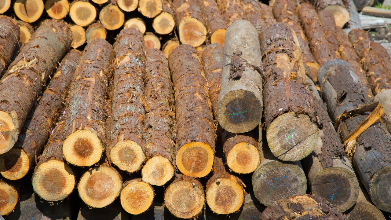斜陽産業の木材加工業　新興国に活路を見出した事例