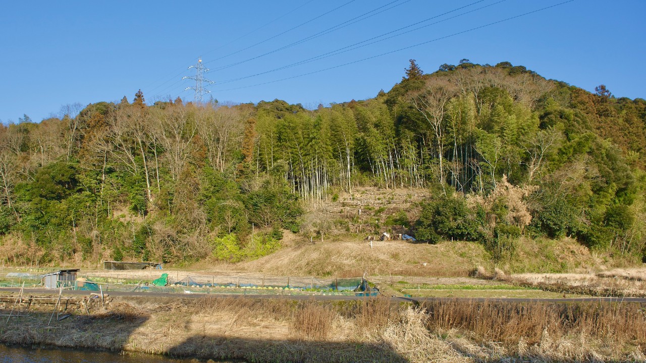 【1円不動産投資】山林のほうがよっぽどマシ…日本全国に散在する「掴んではいけない」戸建て住宅