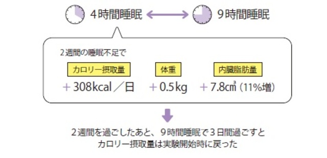 柳沢正史『今さら聞けない　睡眠の超基本』より抜粋