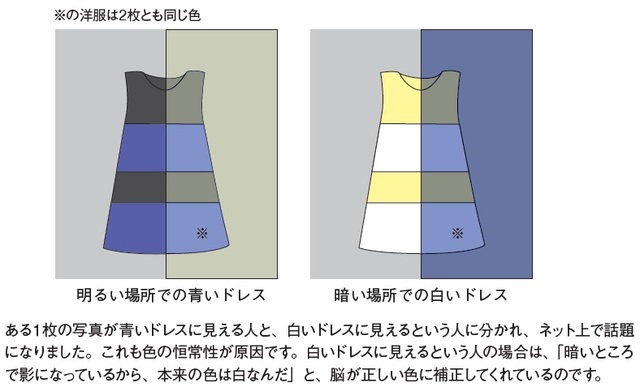 何色に見えますか 色覚異常でなくても 違う色 になる理由 富裕層向け資産防衛メディア 幻冬舎ゴールドオンライン