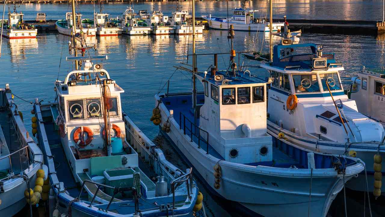 養殖漁業ファイナンスに関する法的考察―その2
