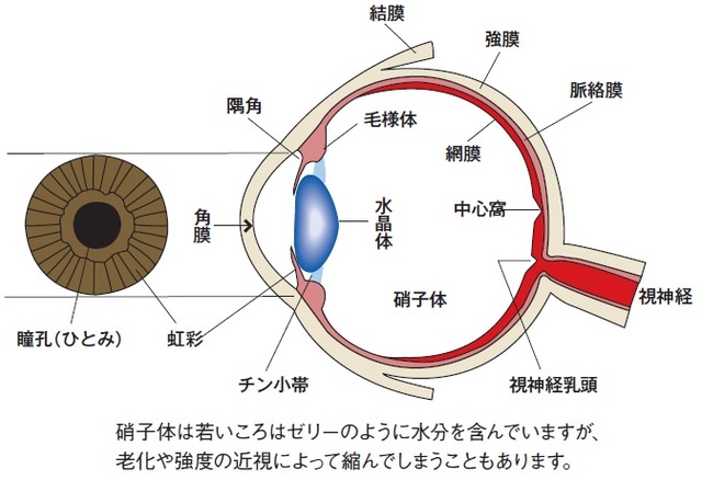 知っていますか？人間が「100万色以上の色」を認識できるワケ | ゴールドオンライン