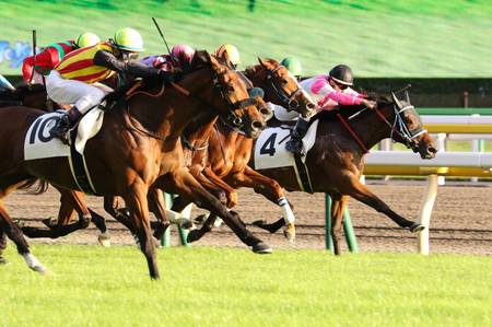 馬主になって税金対策 競走馬で 減価償却 はできるのか 富裕層向け資産防衛メディア 幻冬舎ゴールドオンライン