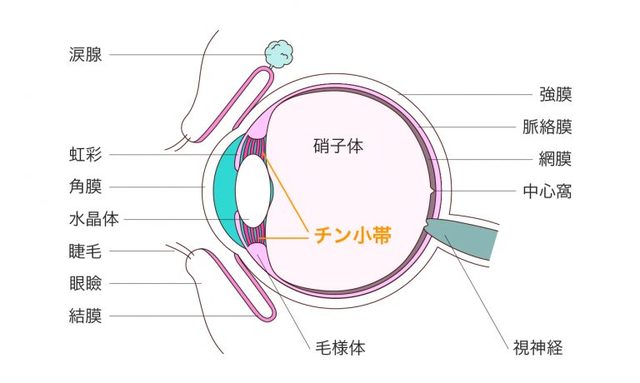 縮む 読み方 縮 という漢字の意味 成り立ち 読み方 画数 部首を学習