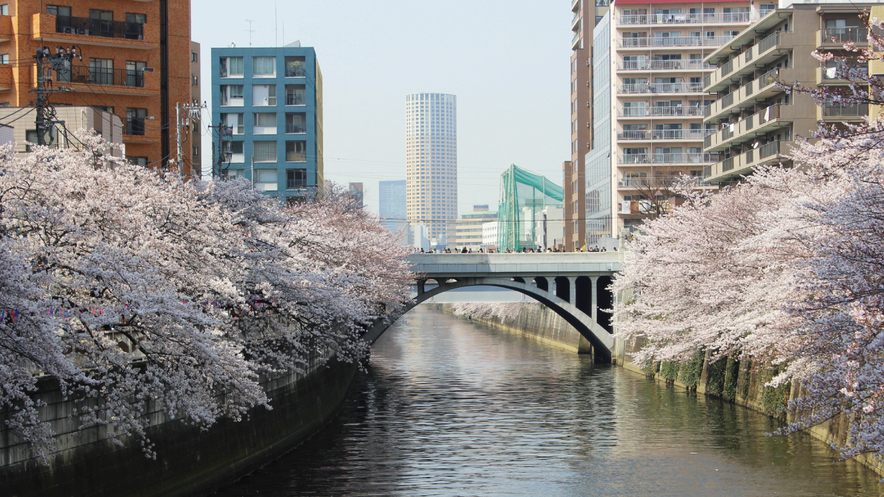 不動産投資で注目の「東京・城南エリア」の沿線・街情報