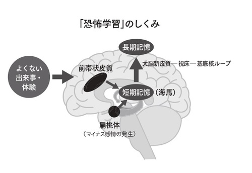 出所：『「おとなしい人」の完全成功マニュアル 内向型の強みを活かして人生を切り拓く方法』（ダイヤモンド社）より抜粋