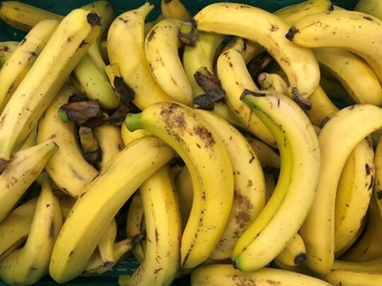 規格外のバナナ（Dole提供）