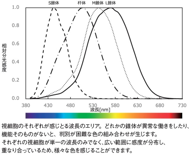 知っていますか？人間が「100万色以上の色」を認識できるワケ | ゴールドオンライン