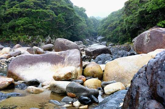 森から川へ。川から海へ……屋久島ではその「循環」を実感できる。 ※写真：The GOLD 60編集部