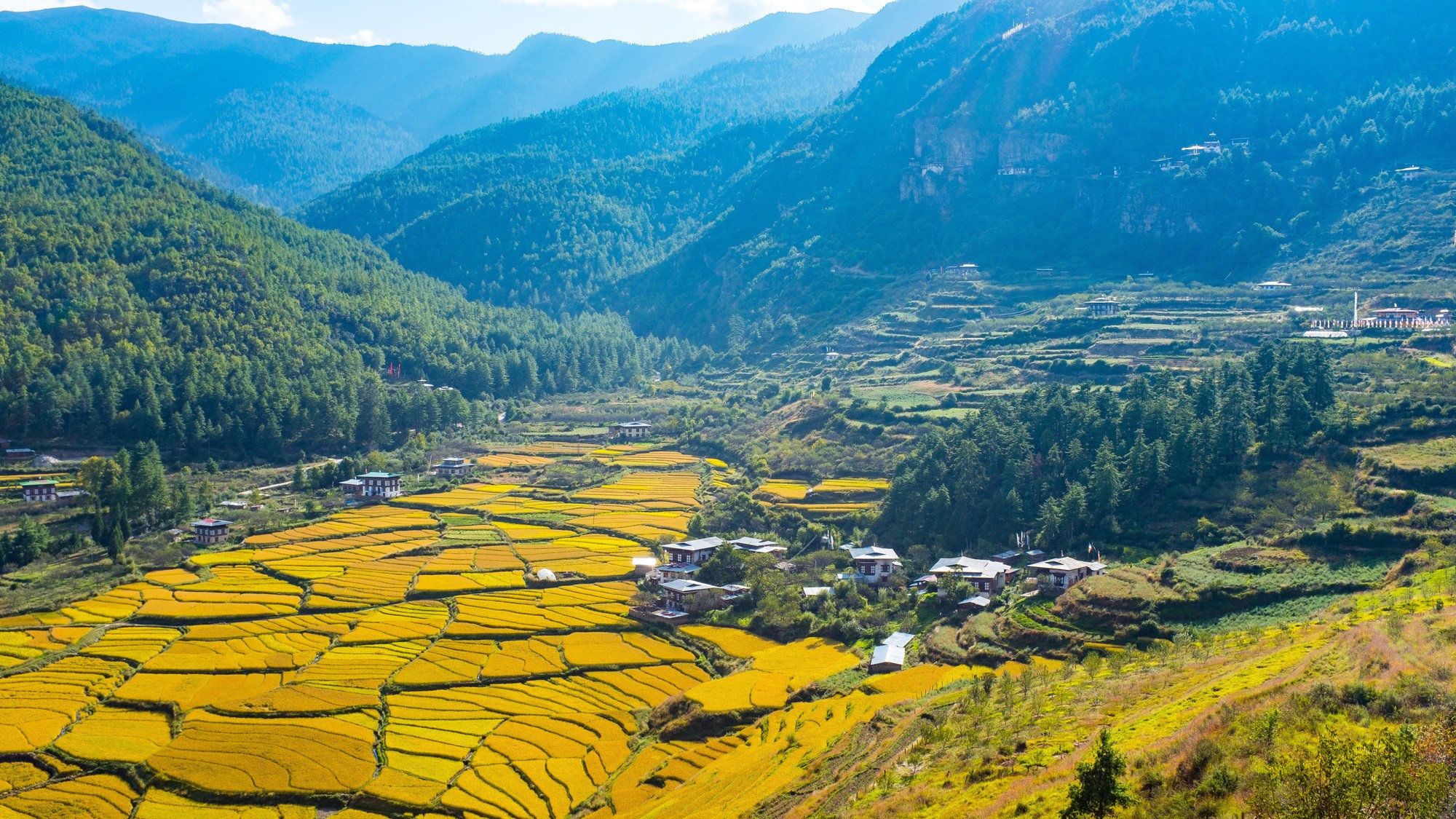 ブータン農業に大改革…。“外国投資全面解禁”で「生産量大幅増」へ