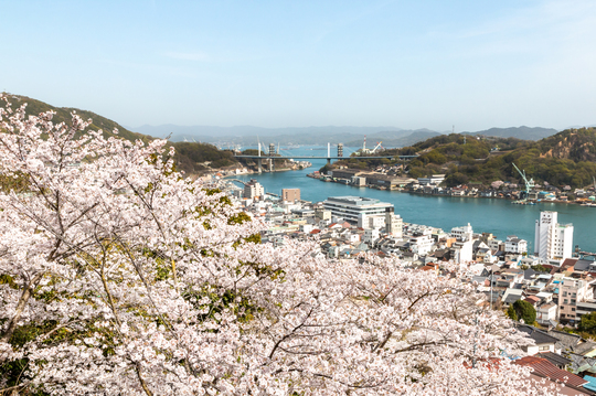 ［写真4］春、千光寺公園からの町並み